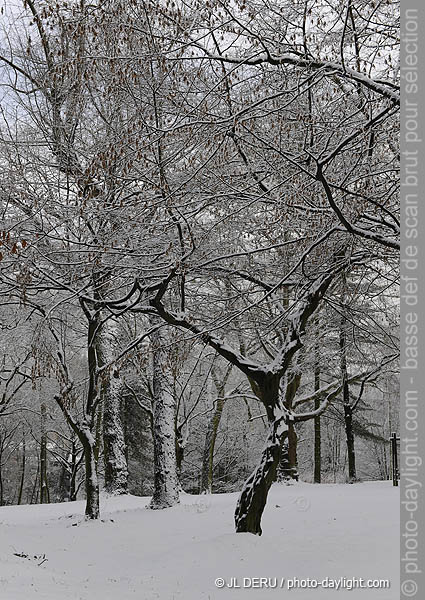 parc de Cointe sous la neige